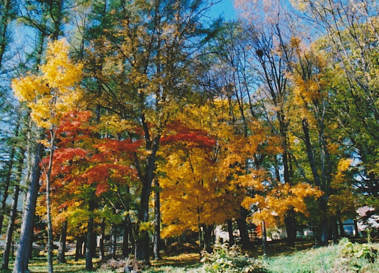 Cottage Morino Nakamatachi Furano Exterior photo